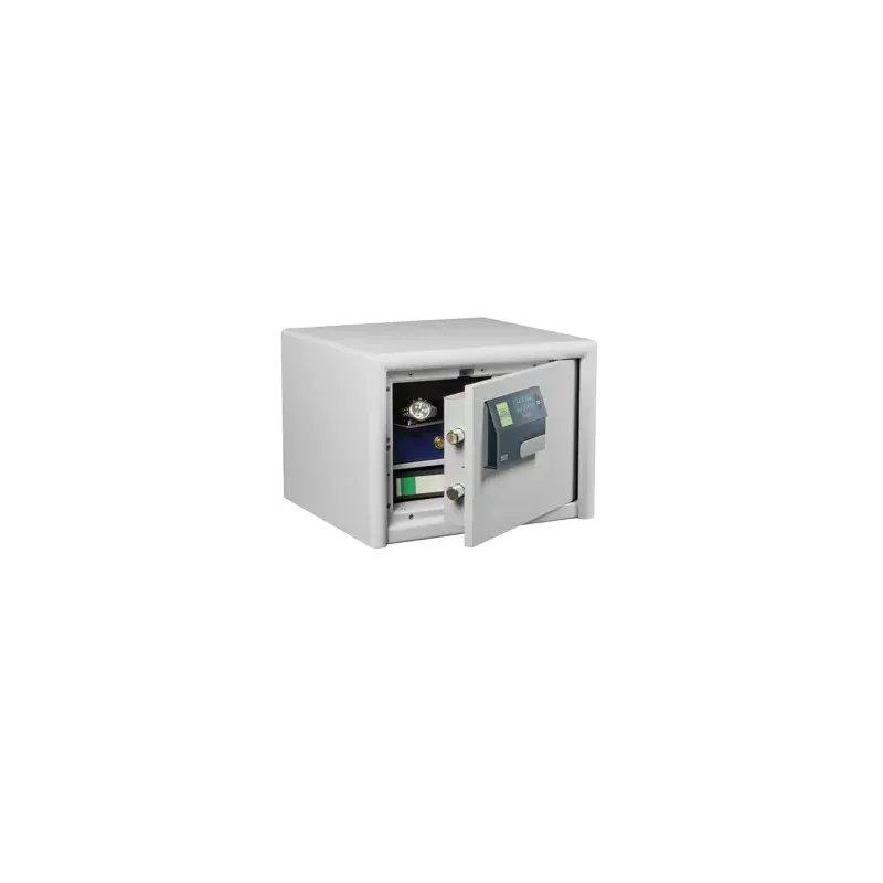 Burg Værdiskab Dual-safe   425