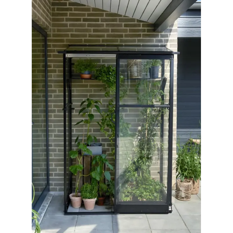 Halls Drivhus Qube Lean-  42 Sort        Hærdet Glas  F09934