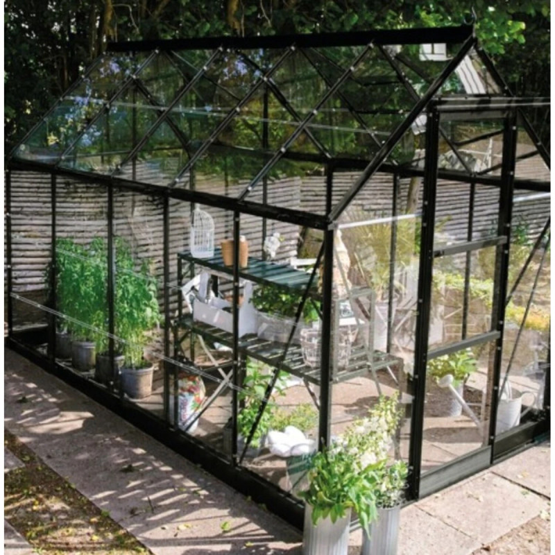Halls Icon                   10  Sort       Glas