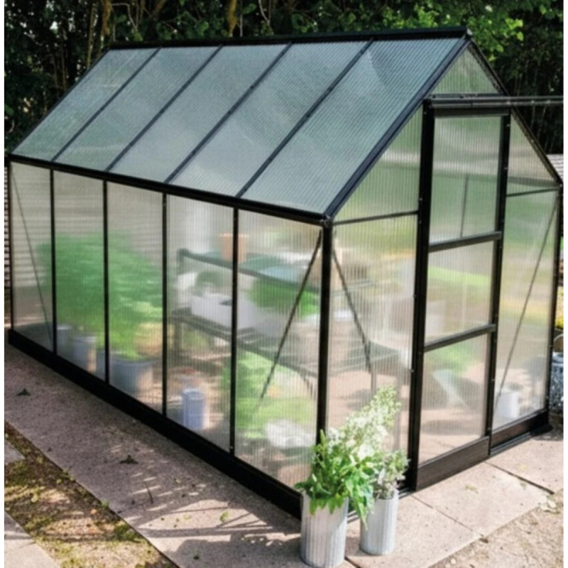Halls Icon                   10  Sort       Polycarbonat