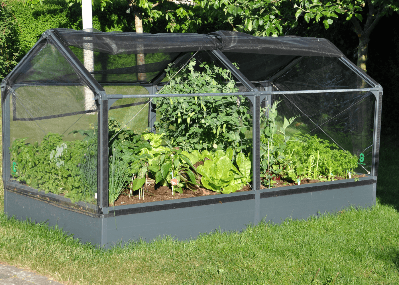Growcamp Drivhus M2 – Holdbart PVC til haven