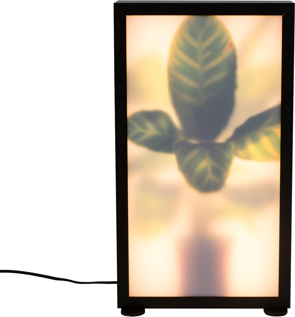 Gulvlampe Zuiver Grow Naturfarvet Akrylglas Aluminium Standerlampe Til Indendørs Brug Med Dæmper 320   3000