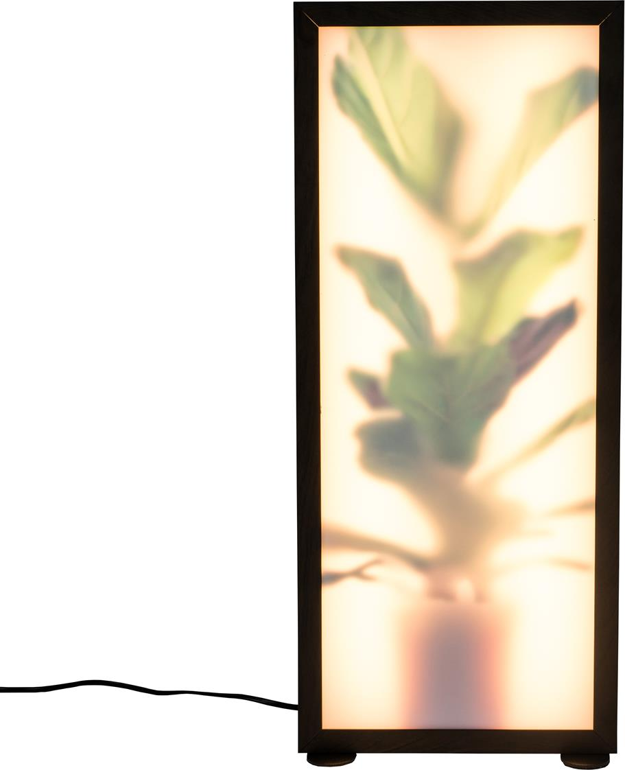 Gulvlampe Grow Fra Zuiver Integreret Led Kulsort Akrylglas Med 3d Planteillusion Dæmpbar