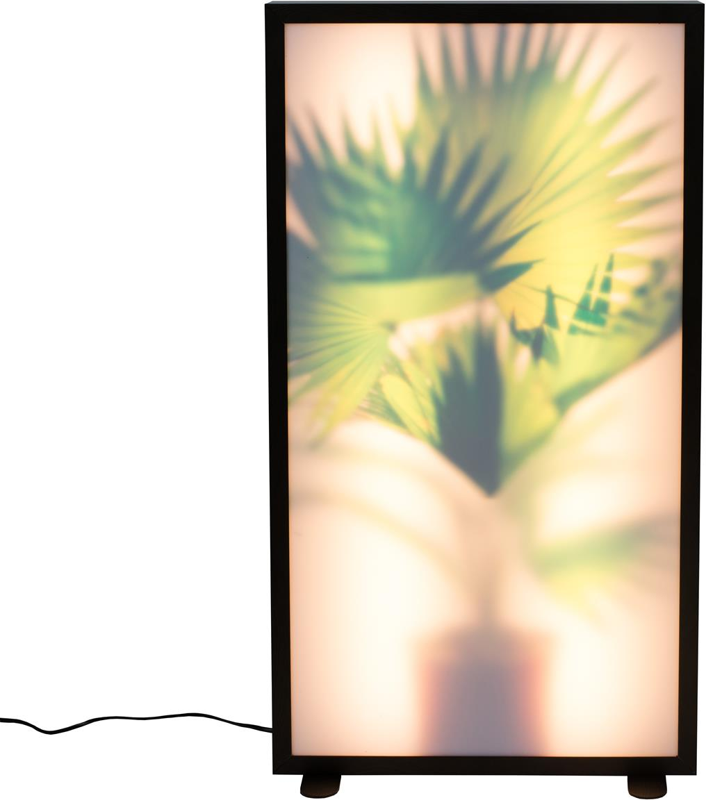 Gulvlampe Zuiver Grow Akrylglas Fan Palm Design Med Dæmpbar Led Natur Aluminium Mdf Stel